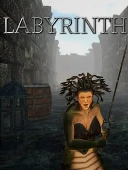 Labyrinth cover