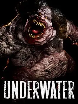 Underwater cover