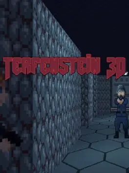 Terfenstein 3D cover