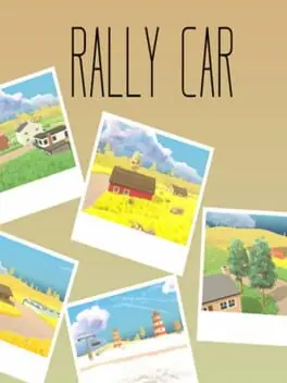 Rally Car cover