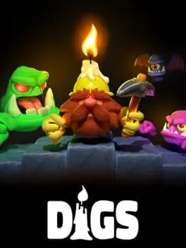 Digs cover