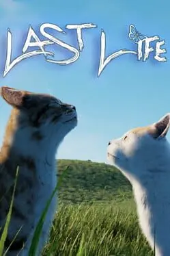 Last Life cover art