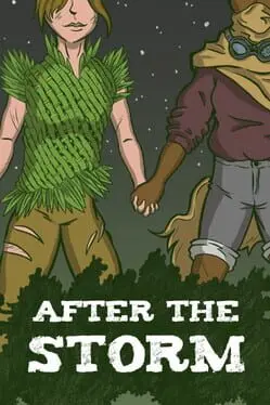 After the Storm cover