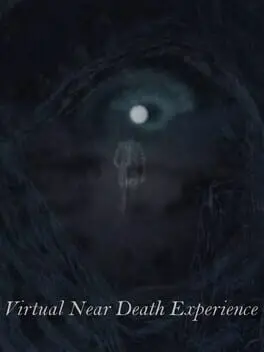 Virtual Near Death Experience cover