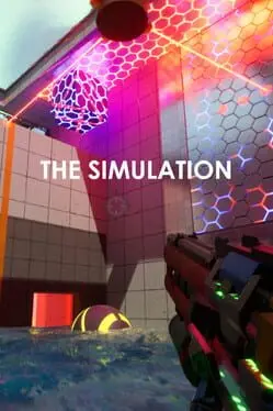 The Simulation cover