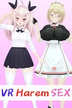 VR Harem Sex cover