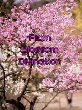 Plum Blossom Divination cover