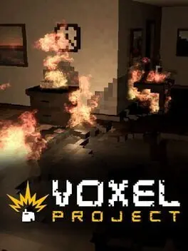 Voxel Project cover