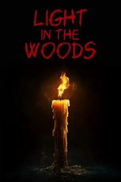 Light in the Woods cover
