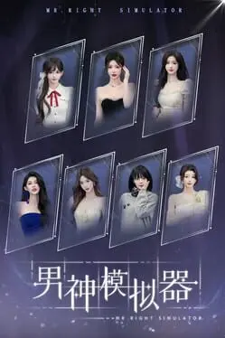 Mr Right Simulator background