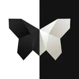 Symmetry: Path to Perfection cover