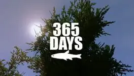 365 Days cover