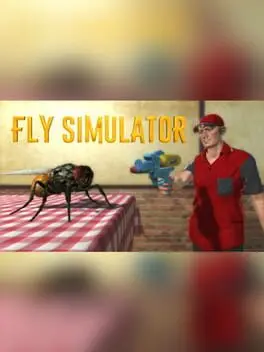 Fly Simulator background