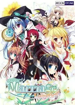 Magical Marriage Lunatics!! cover
