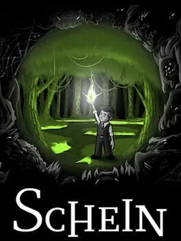 Schein cover