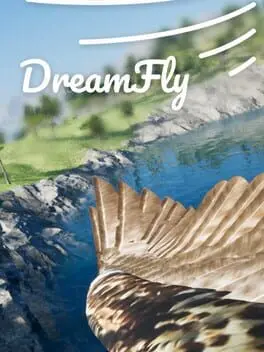 DreamFly cover