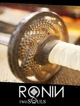 Ronin: Two Souls cover