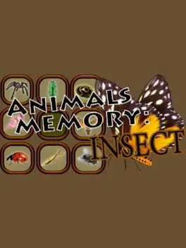 Animals Memory: Insect cover