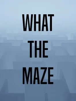 What the Maze cover