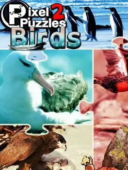 Pixel Puzzles 2: Birds background