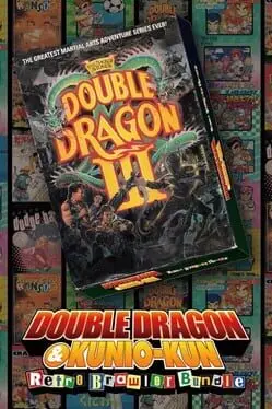 Double Dragon III: The Sacred Stones cover