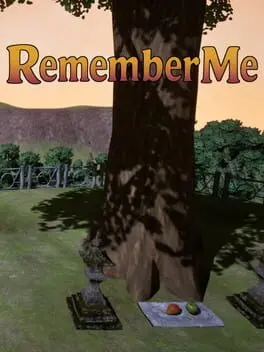 Remember Me background