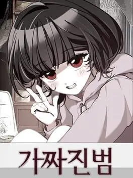 The False Culprit cover