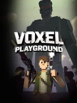 Voxel Playground cover
