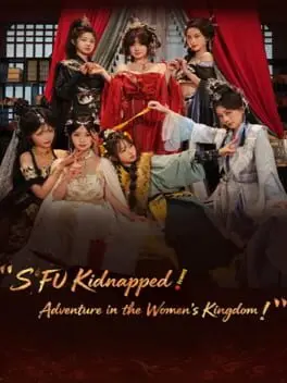 Sifu Kidnapped!: Adventure in the Women's Kingdom cover art