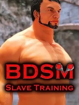 BDSM Slave Training cover