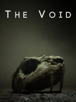 The Void cover