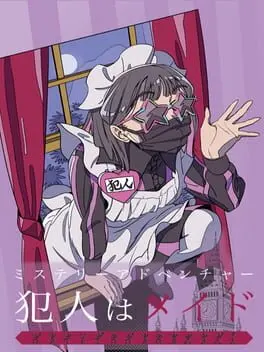 Mystery Adventure The Maid Did It background