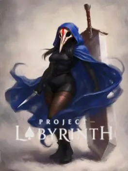 Project - Labyrinth cover