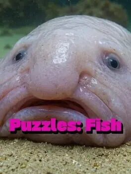 Puzzles: Fish cover art