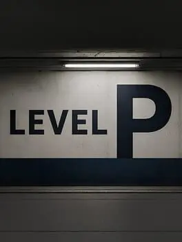 Level P cover art