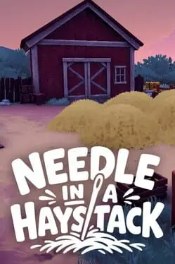 Needle in a Haystack cover