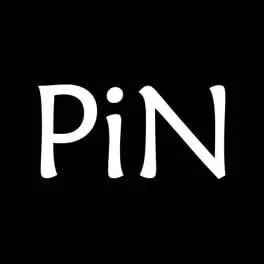 PiN cover art