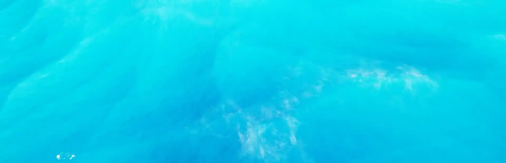 Kakudo background