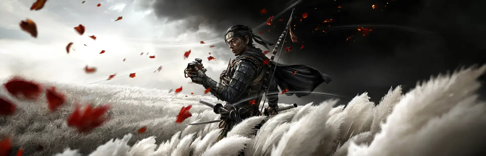 Ghost of Tsushima: Director's Cut background