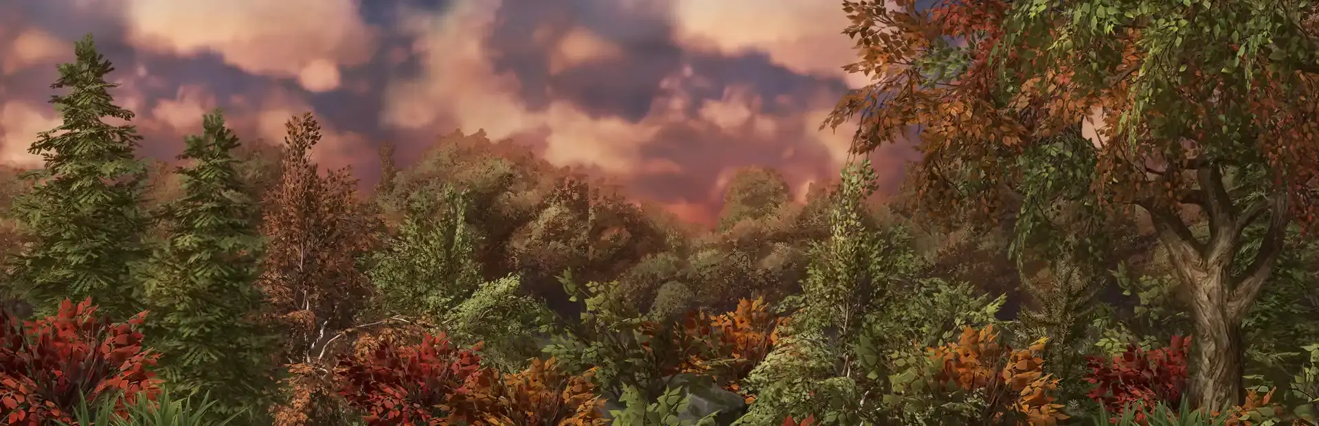 Deep, In the Forest background