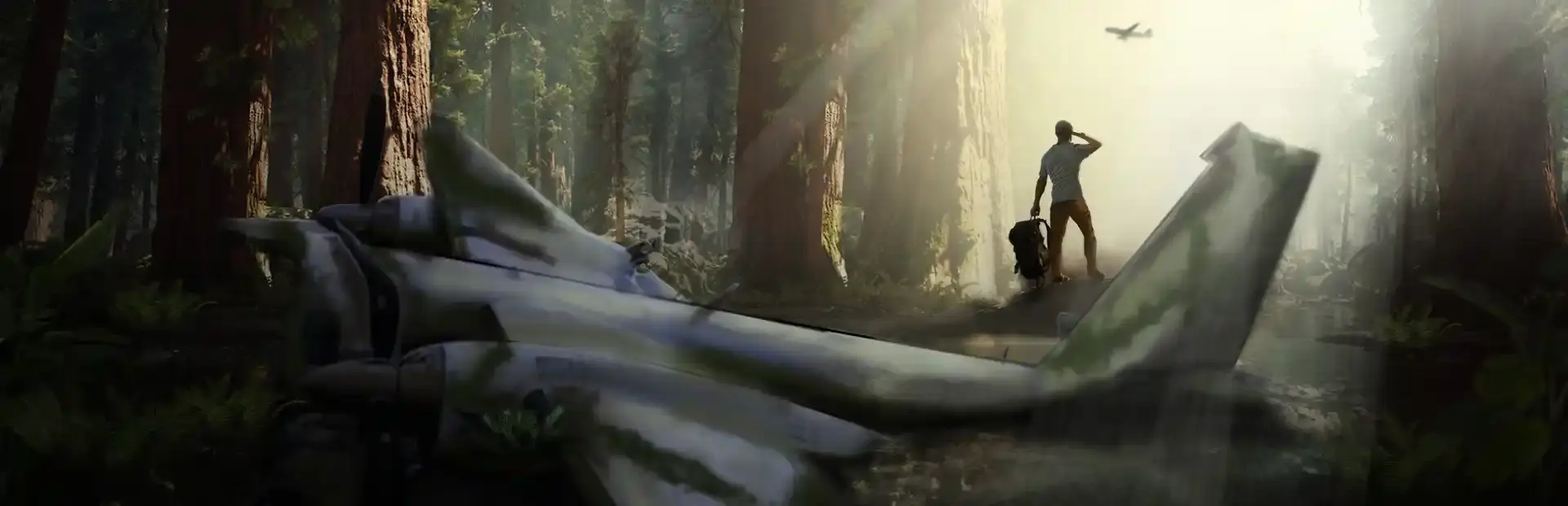 Missing Plane: Survival background