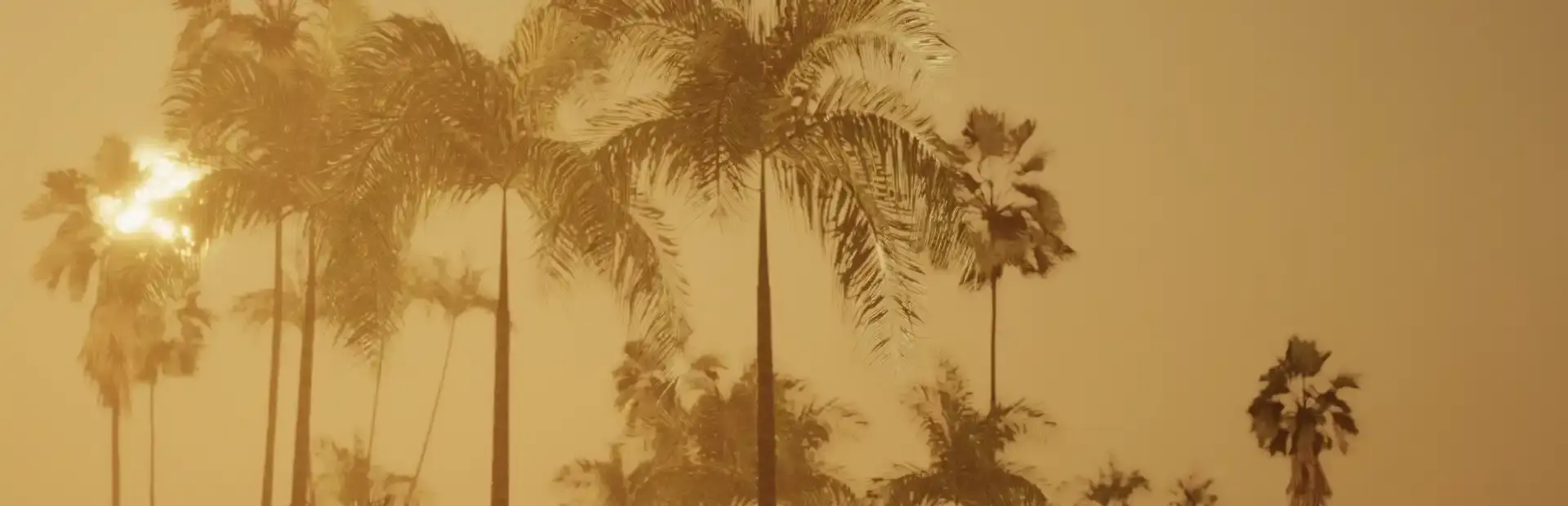 Miami Hotel Sim background