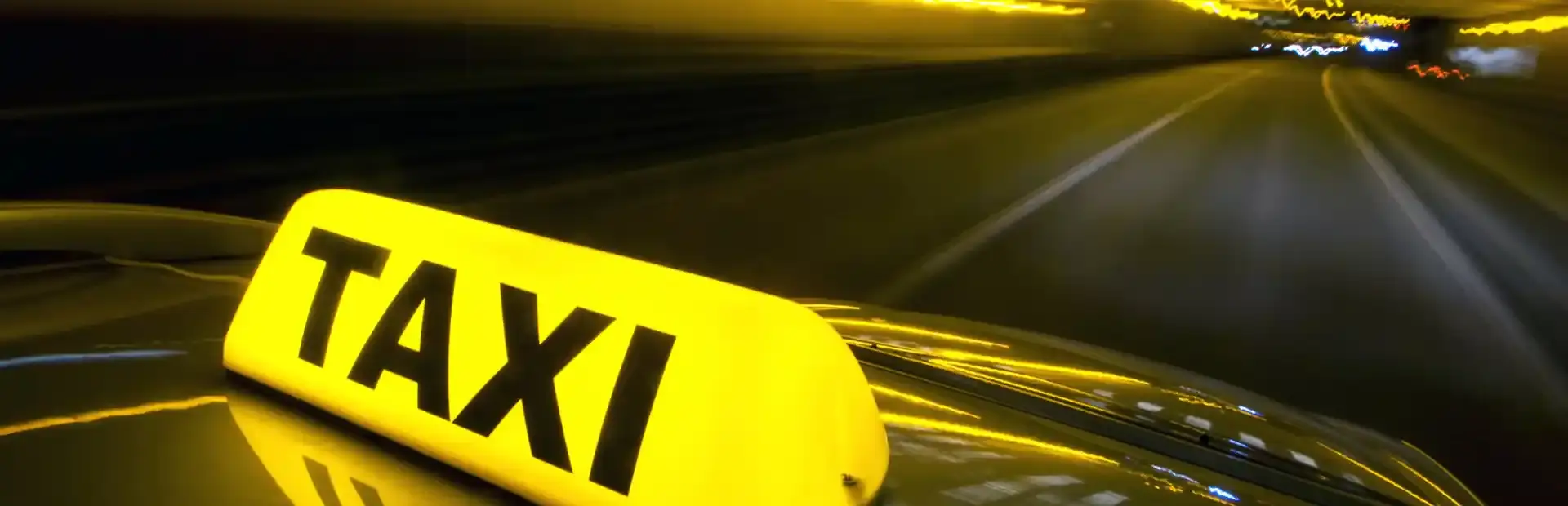 Taxi Driver: The Simulation background