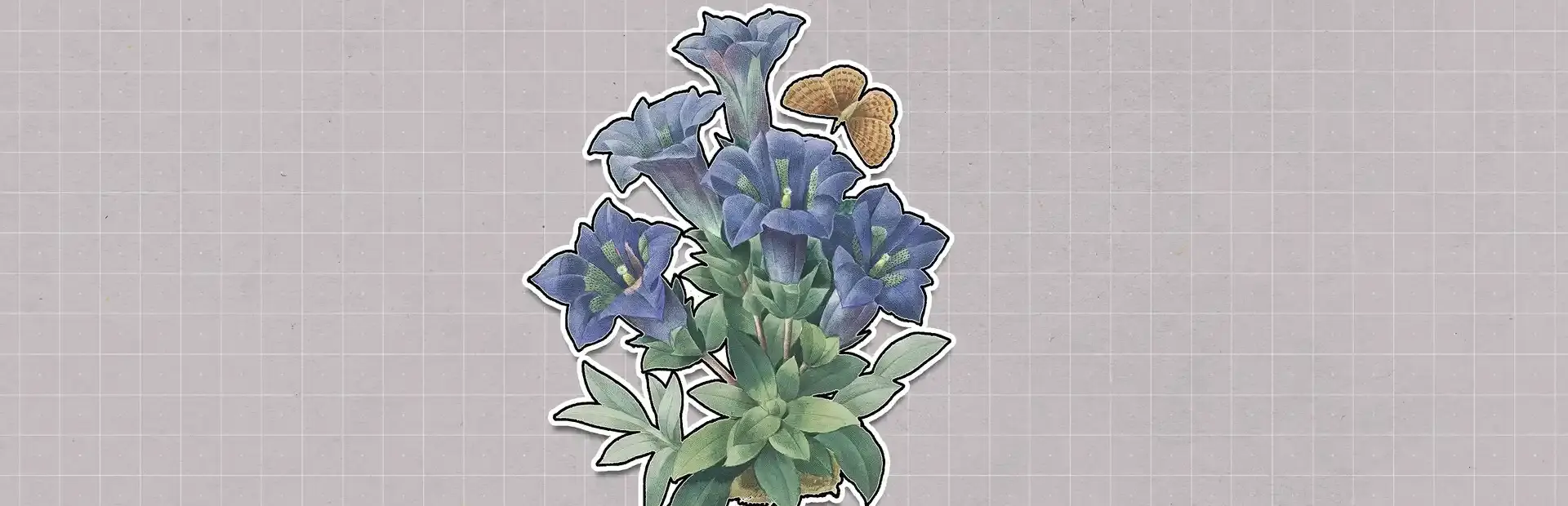 Plants Huddled Together background