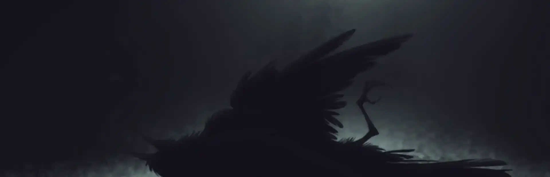 Shadows on the Vatican: Nightingale background