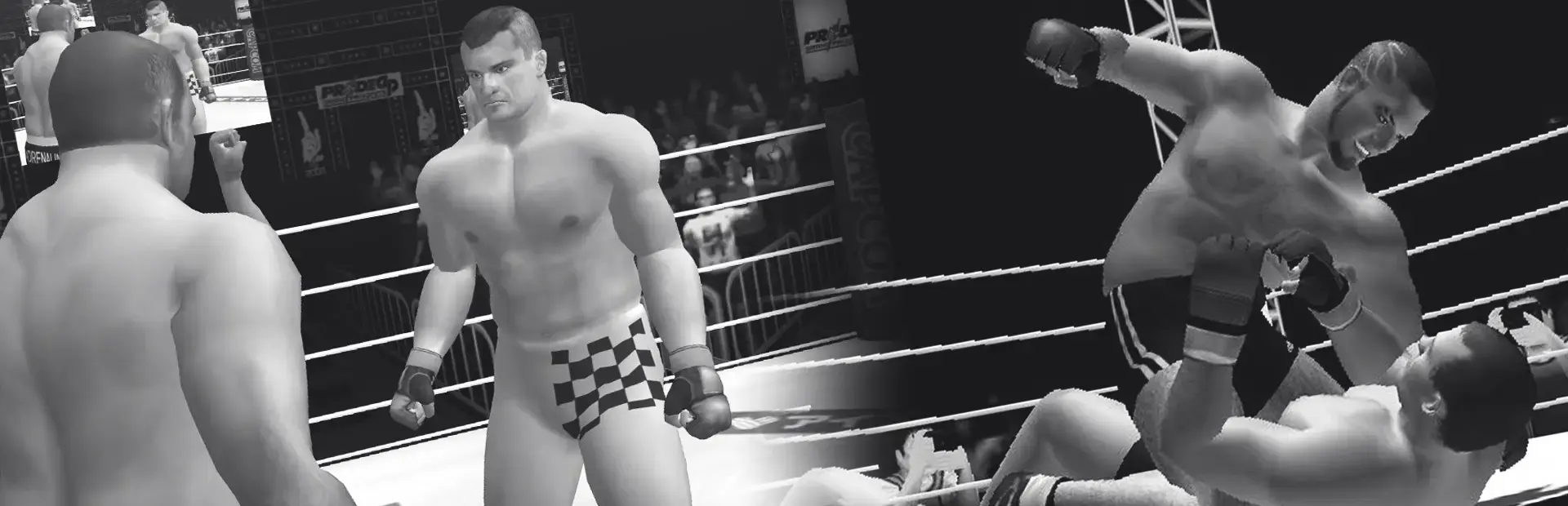 Pride FC: Fighting Championships background
