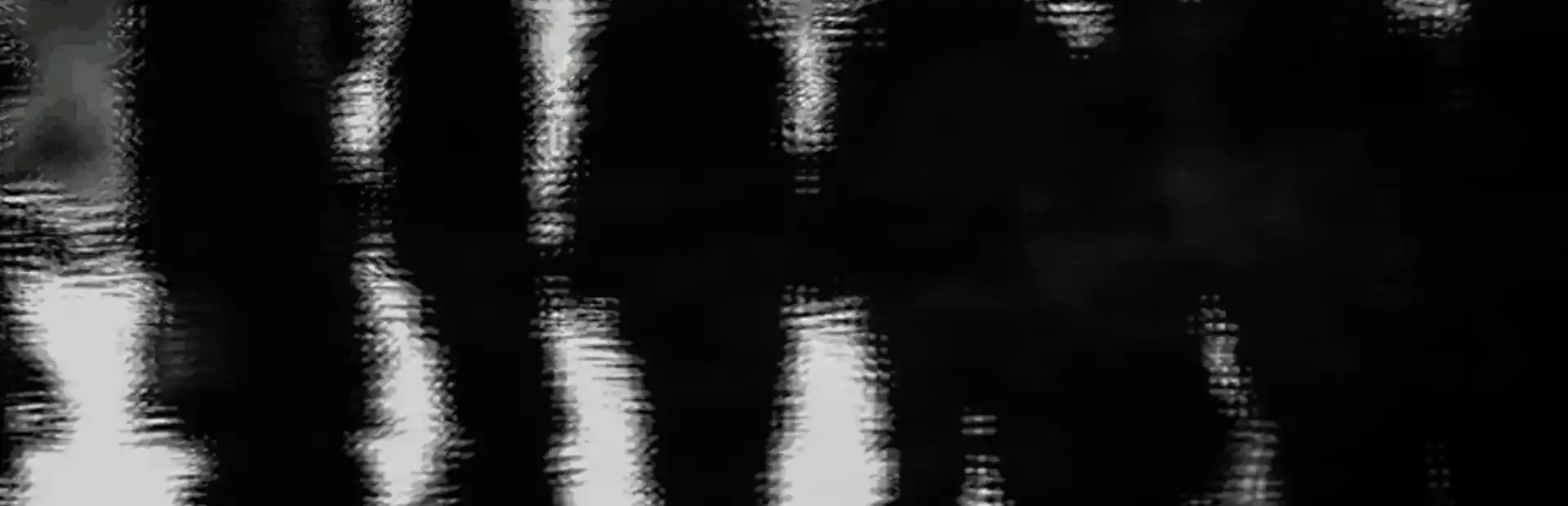 The Walker background