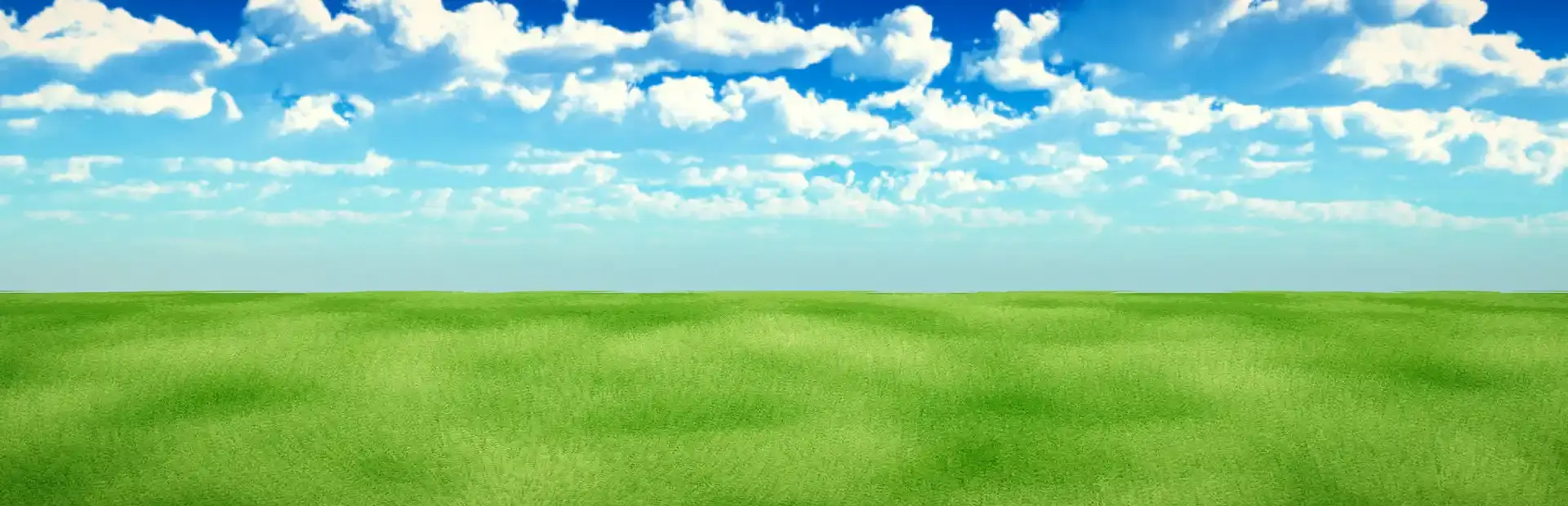 Word Wise background