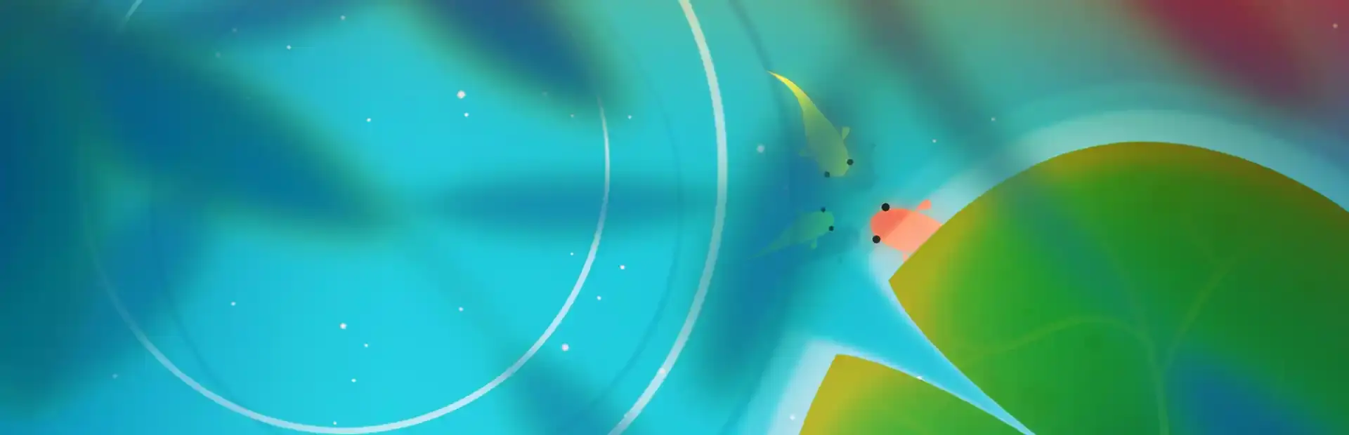 Koi background