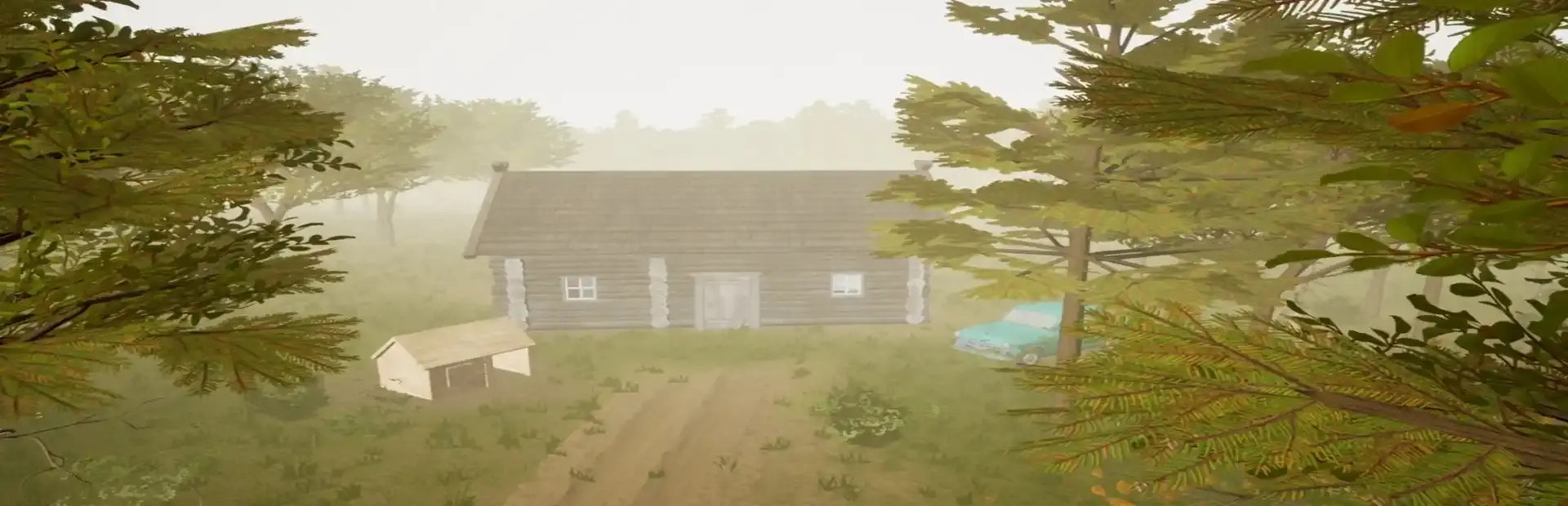 Forest Woodman background